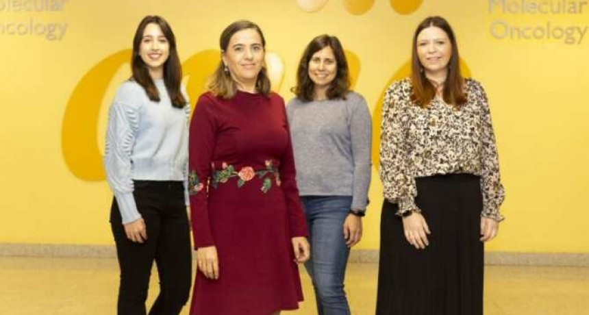 Identifican una prote&iacute;na clave para que el cuerpo queme grasa