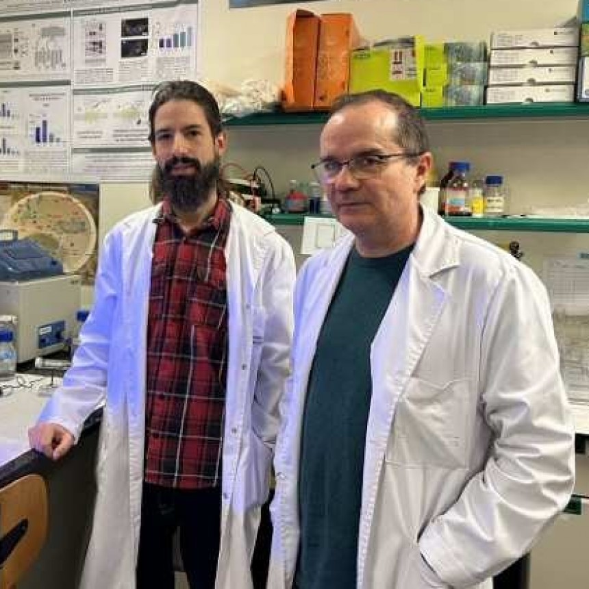 F&aacute;rmaco activado por luz para combatir la psoriasis