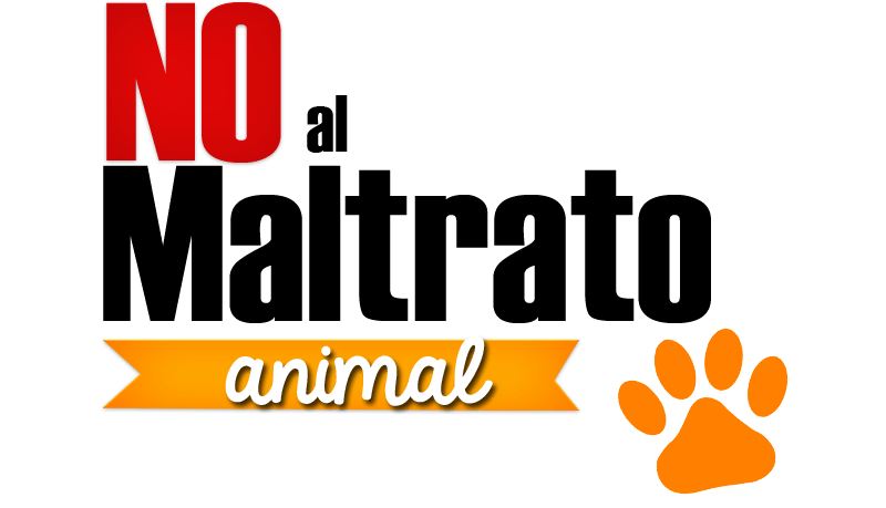 Denuncian maltrato animal en Catamarca y exigen acción municipal