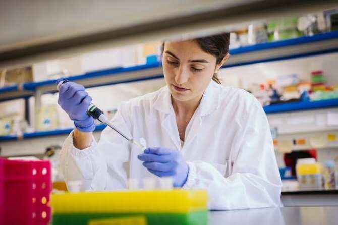 Identifican las regiones del ADN y los genes clave que activan la regeneración del hígado