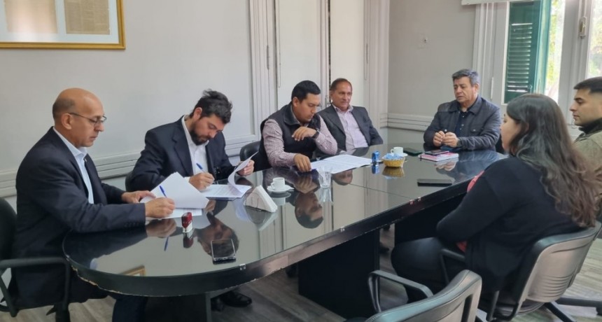 Estudiantes universitarios en contacto con el mundo laboral 